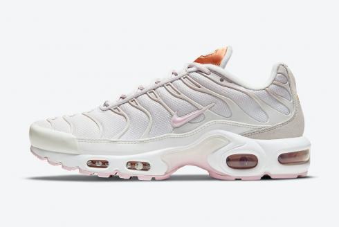 Nike Air Max Plus Vast Grey Metallic 