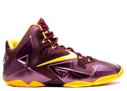 Nike Lebron 11 Christ The King Away 