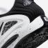 Nike Zoom KD 15 Oreo Black White DO9826-100