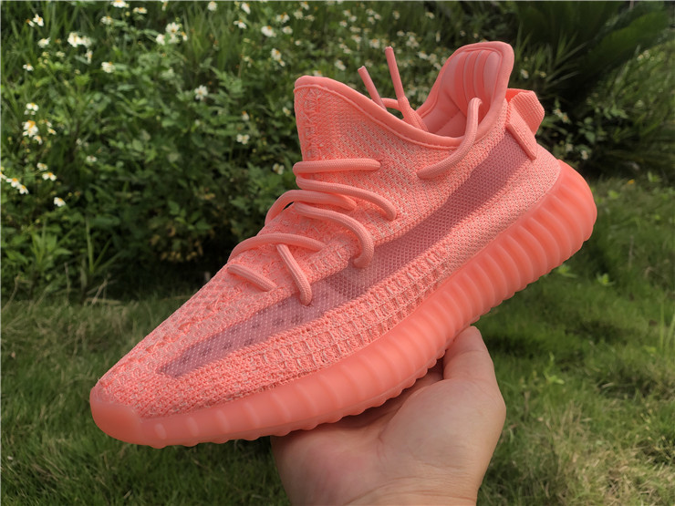 Adidas yeezy rosa damen new arrivals