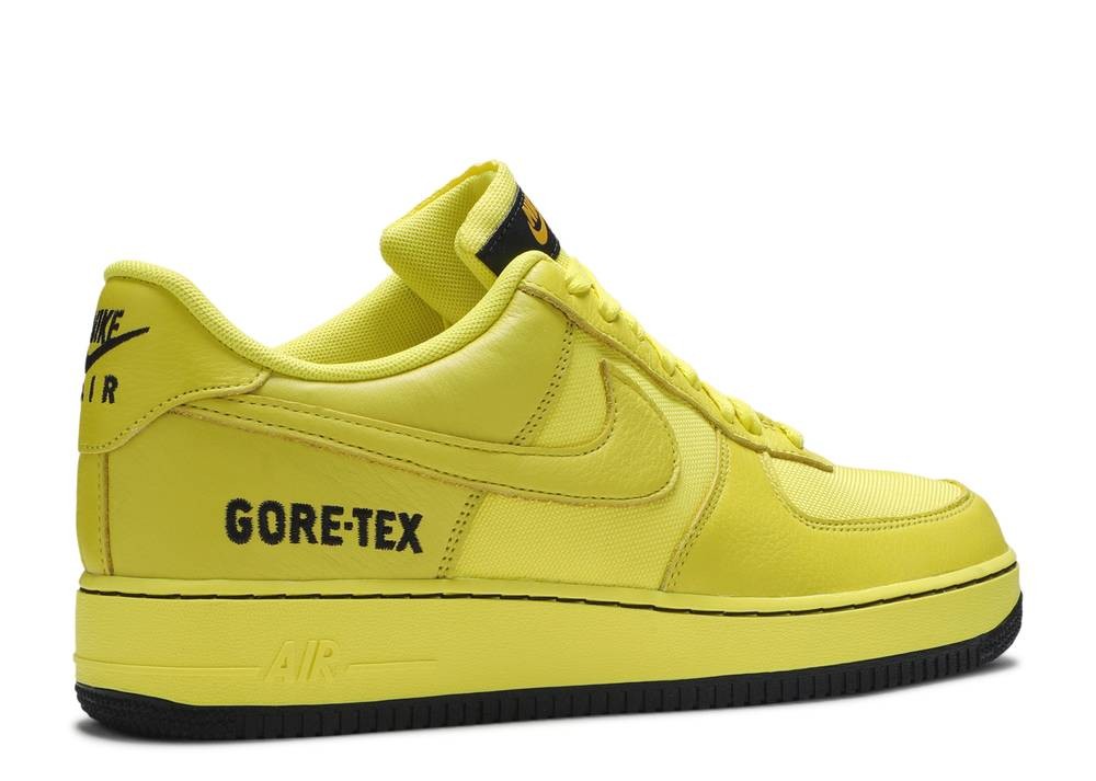 Nike dunk Air Force 1 Gtx Gore Tex 