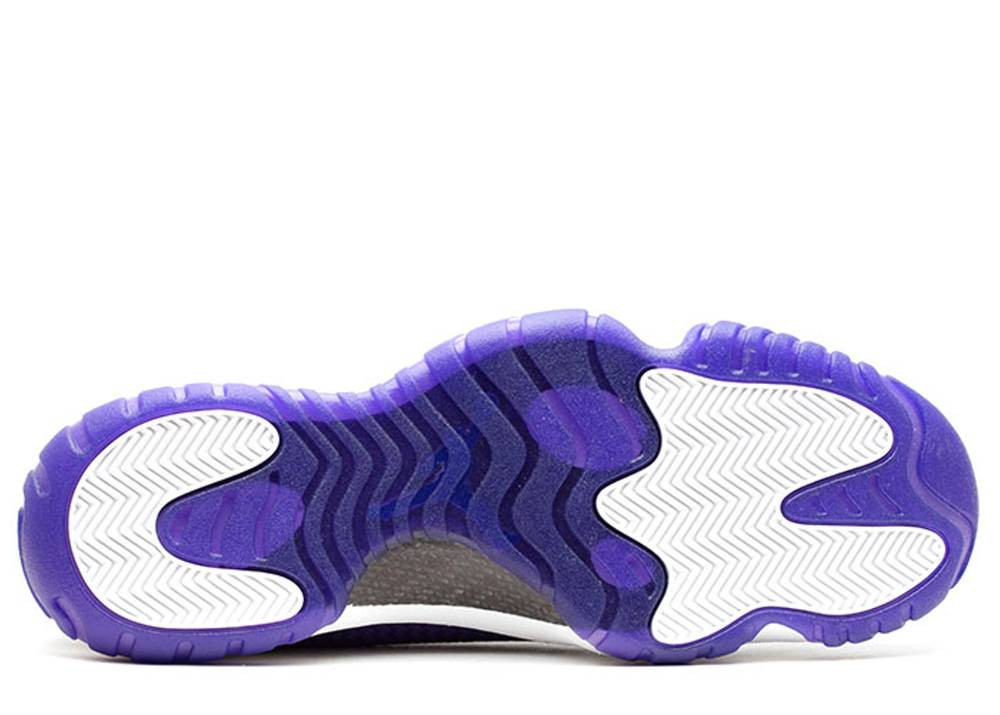 Air Jordan Future Dark Concord White 