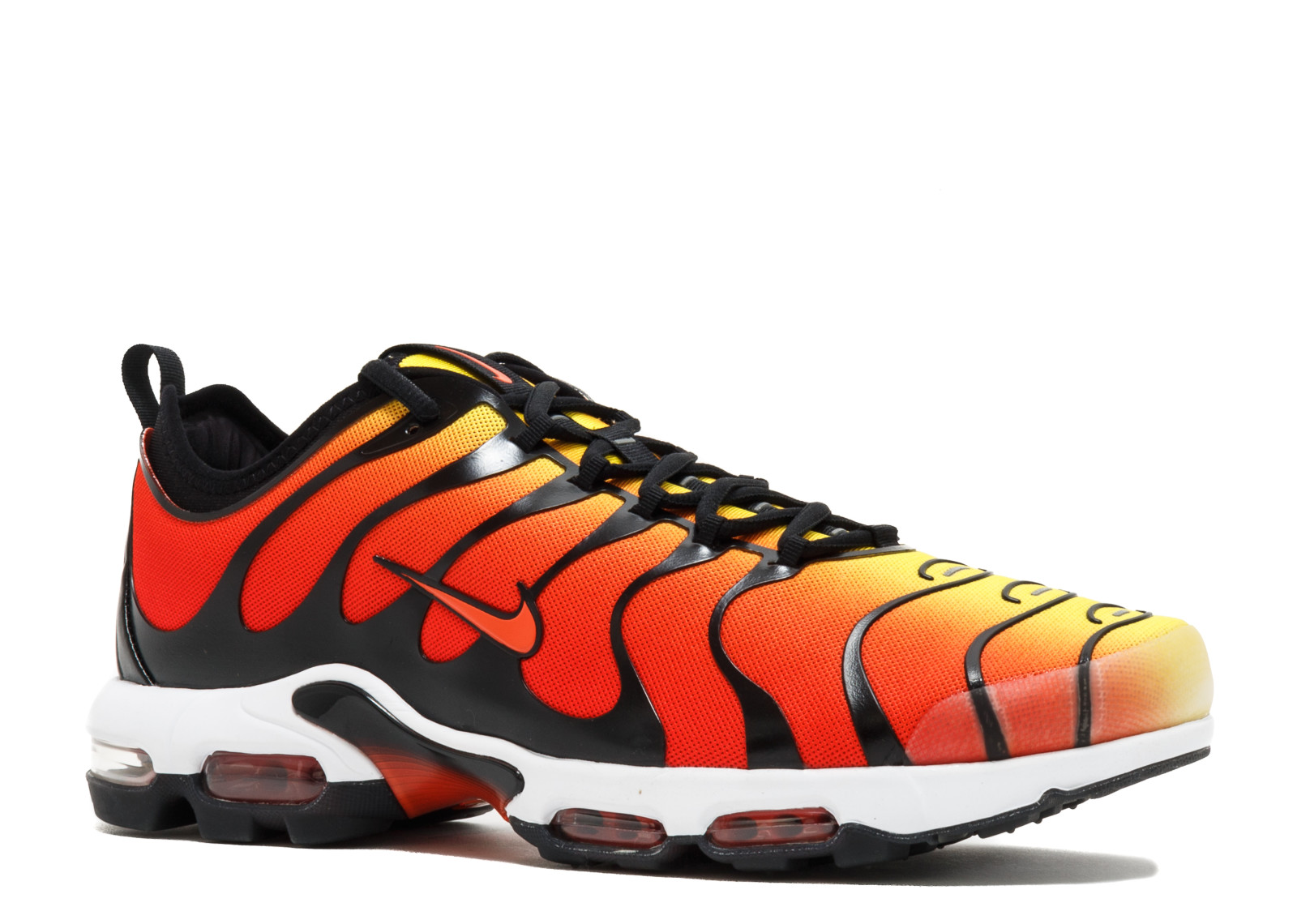 Tn orange tiger online