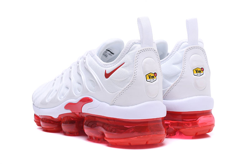 Nike Air Vapor Max Plus TN TPU Running 