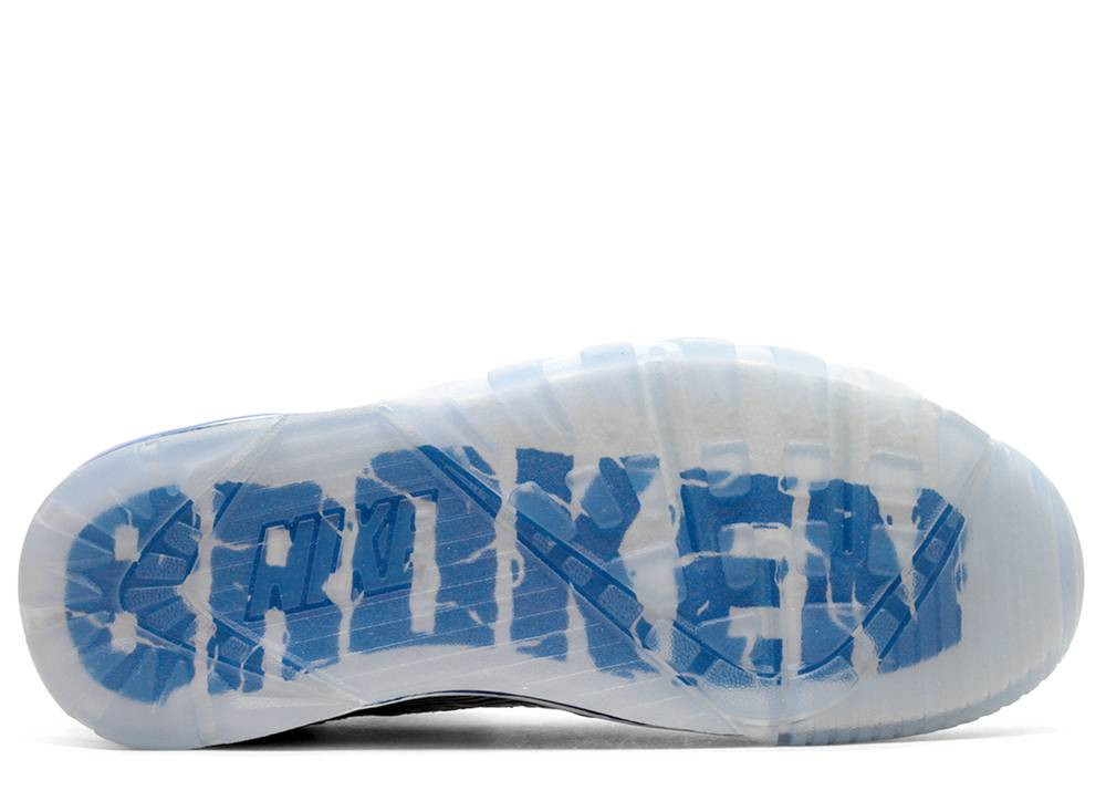 Nike air trainer sc broken bats discount