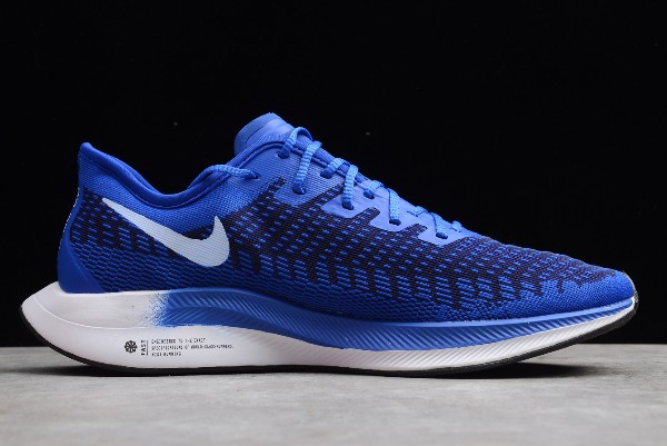 New nike pegasus 2019 shop
