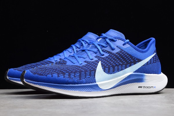 Zoom pegasus turbo 2 blue hero on sale