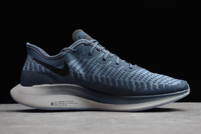Zoom pegasus turbo 2 navy best sale blue