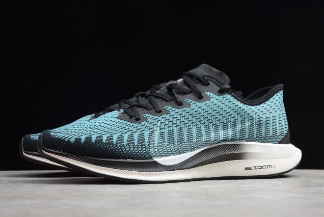 Nike pegasus on sale 2020